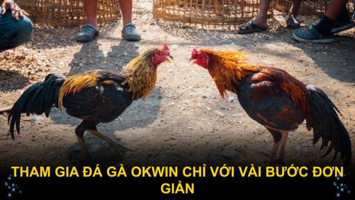 Tham gia đá gà Okwin chỉ với vài bước đơn giản